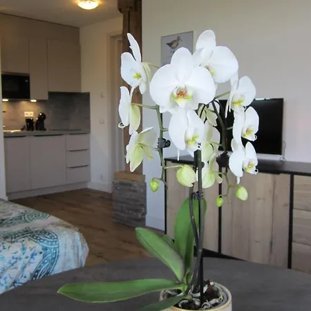 Aan De Dijk Apartamento Edam