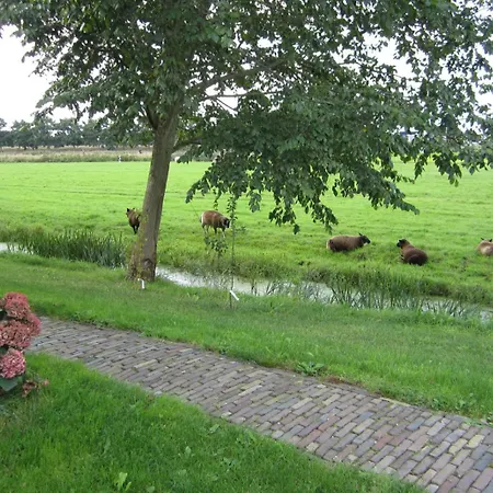 Aan De Dijk