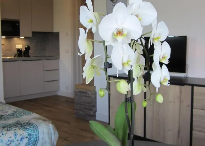 Aan De Dijk Apartmán Edam